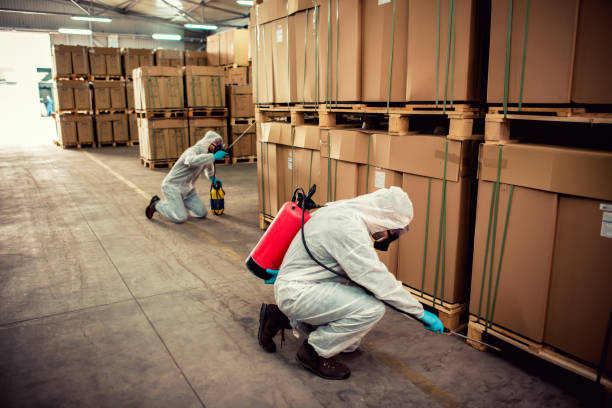 Best Best Pest Control Companies  in Village Of Waukesha, WI