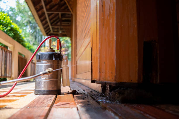 Best Pest Removal Services  in Village Of Waukesha, WI