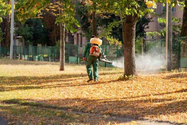 Insect Control in Village Of Waukesha, WI