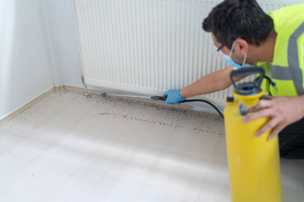 Best Affordable Pest Control Services  in Village Of Waukesha, WI